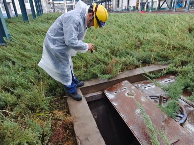 131760316990136922.png image.png